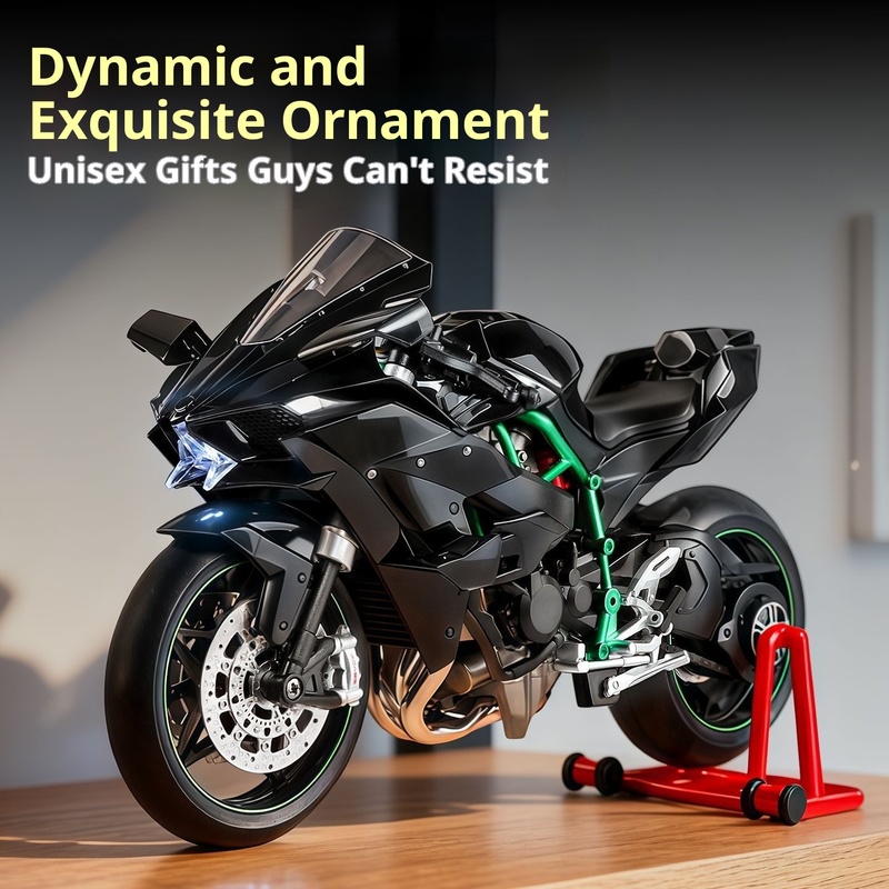 Kawasaki Ninja H2R Modelo diná - Battery Case Storage reseña y precio